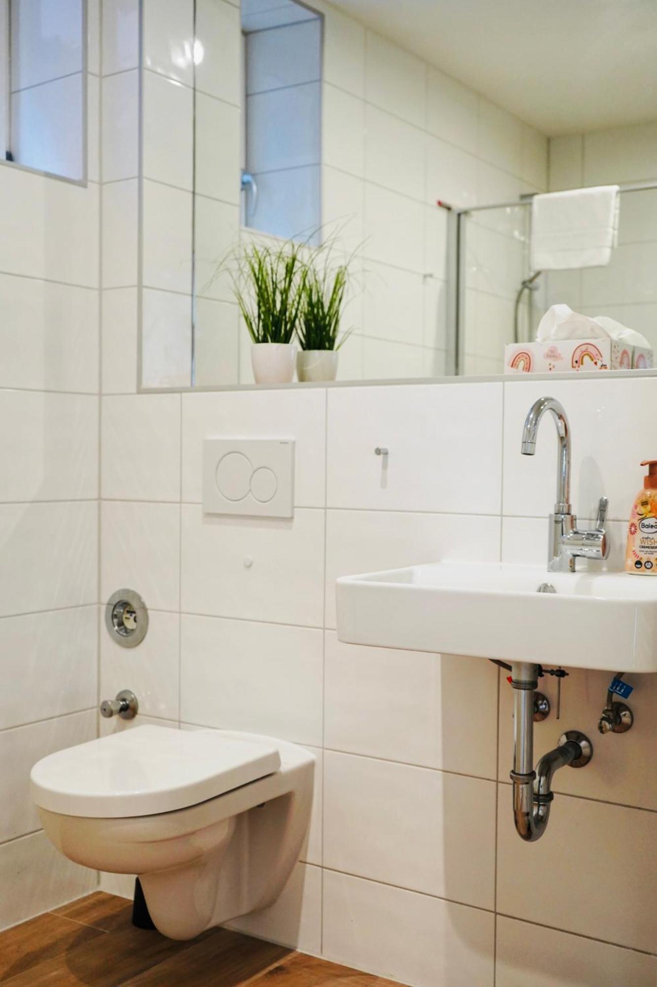 Altstadt Apartment II - Terrasse- Waschmaschine- Parkplatz 볼프스부르크 외부 사진